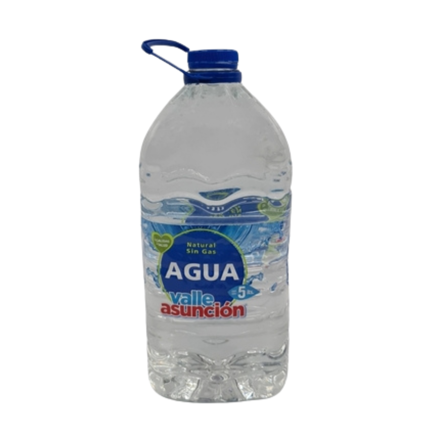 Bidon de agua Asunción 5L x1L