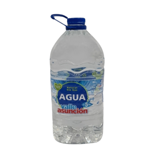 Bidon de agua Asunción 5L x1L